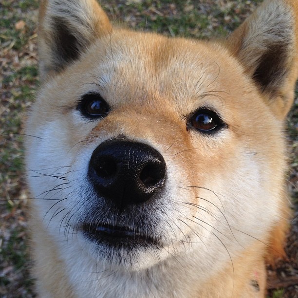 开云在线登入-体育新闻中心深化体育主题纪录片传播平台共建，体育新闻专题报道  第3张