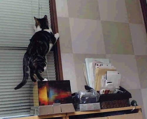 开云在线入口-体育新闻中心联合多方探索体育内容分发精准化路径，体育新闻分类  第3张