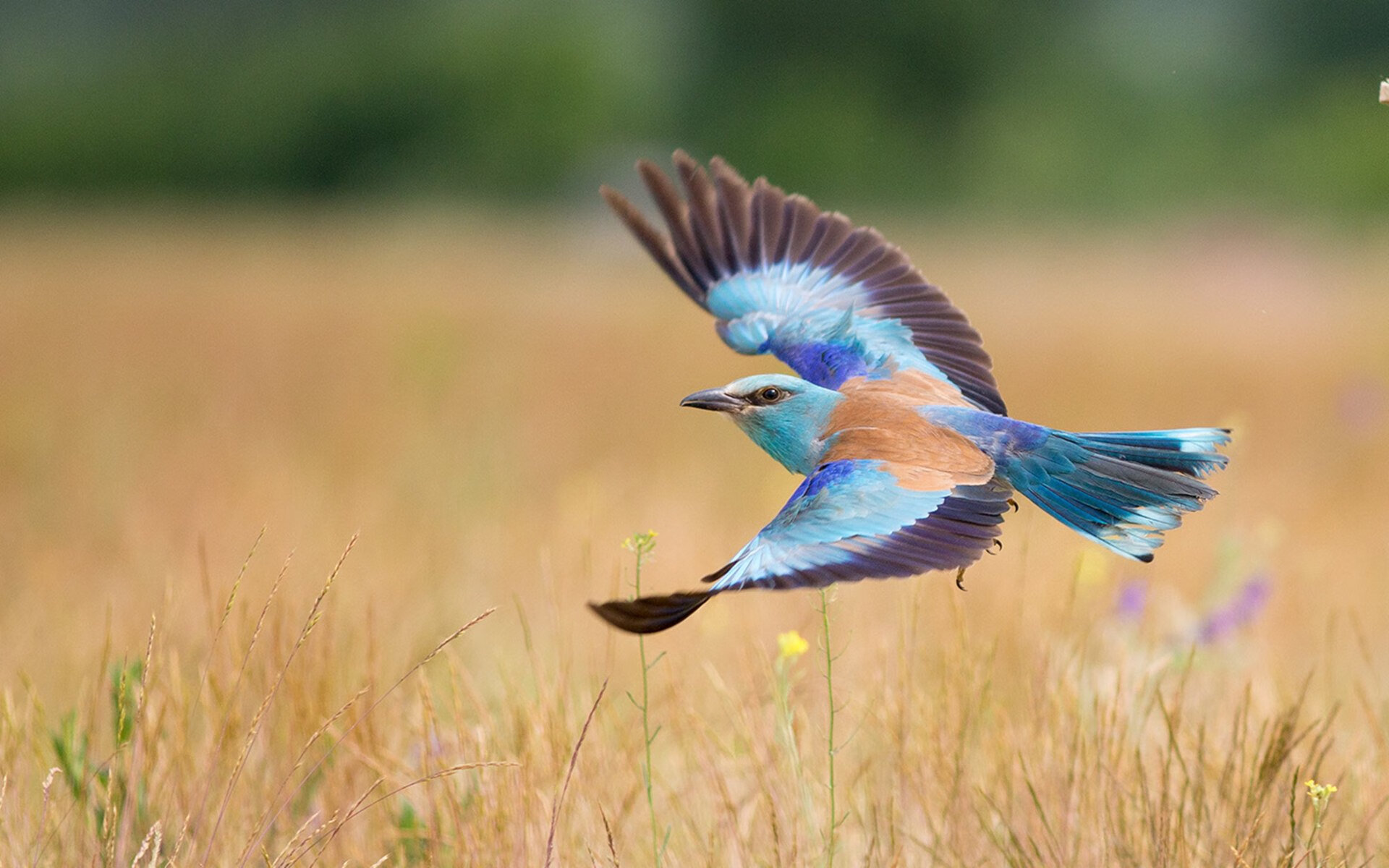 开云官网-博塔弗戈主打控球,但难撼马竞防线,博塔弗戈ds 第3张 开云官网-博塔弗戈主打控球,但难撼马竞防线,博塔弗戈ds 第3张