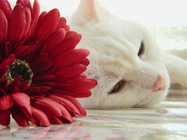 开云体育app官网-山西龙狮加强球场纪律建立高效执行文化  第2张