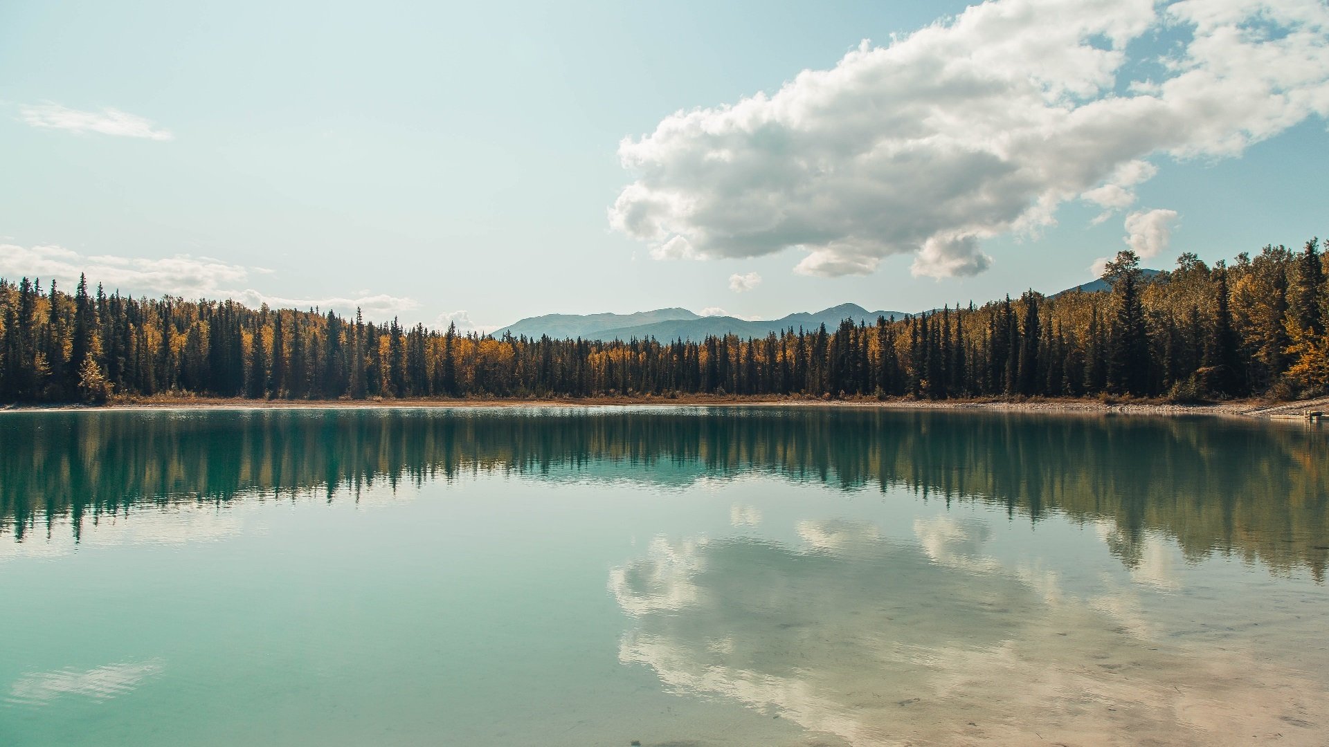 开云官网-山西龙狮年轻球员经验积累稳定性显著提高，龙狮篮球俱乐部青年队名单  第3张