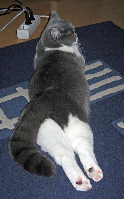 开云体育在线登入-球员在无球状态下的移动效率排名，无球可踢的球员