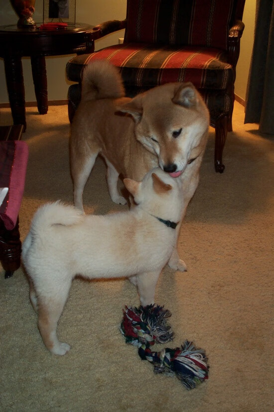 开云体育娱乐-乌拉圭全队士气高昂，期待在国际舞台上有精彩表现  第1张