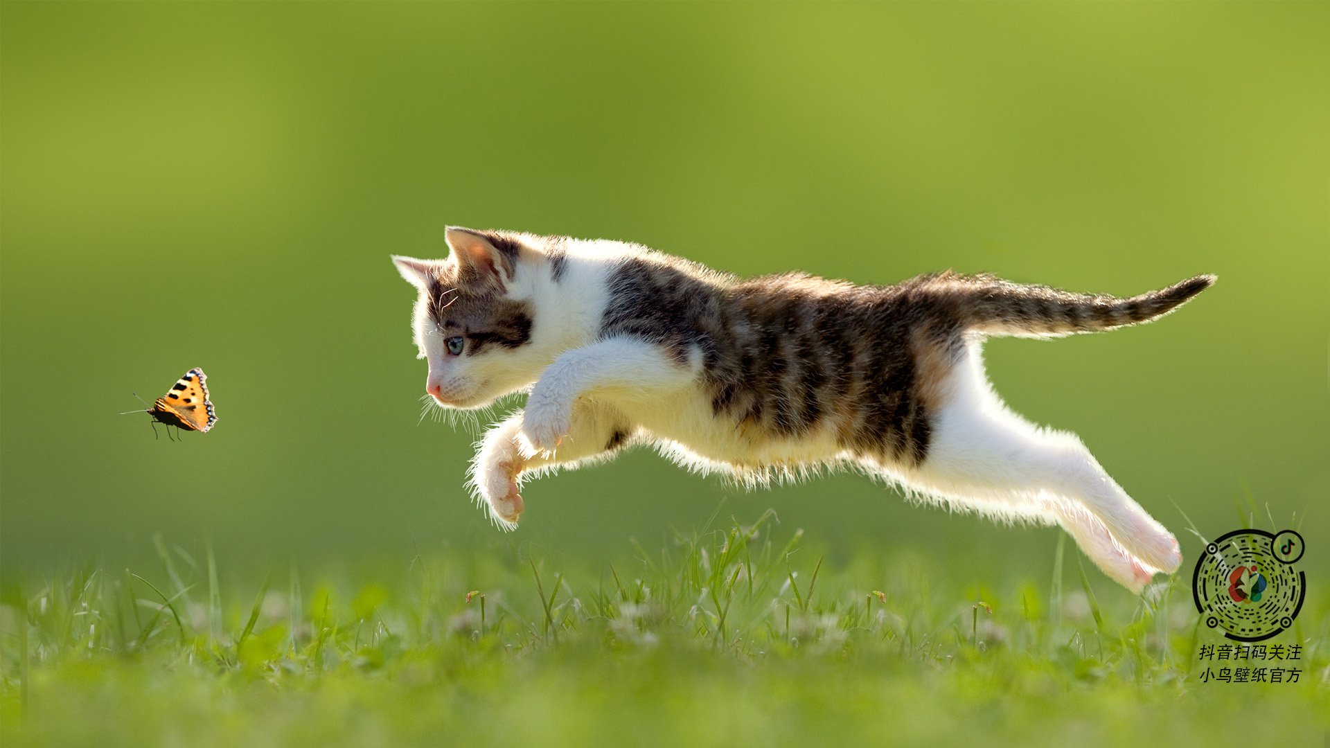 开云在线登入-乌拉圭女篮在南美锦标赛中表现优异,迈向国际舞台,乌拉圭篮球联赛2021 第3张 开云在线登入-乌拉圭女篮在南美锦标赛中表现优异,迈向国际舞台,乌拉圭篮球联赛2021 第3张